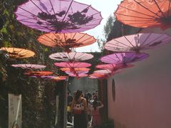 -鱼食饭稻·苏浙土菜17年老馆子(平江路店)