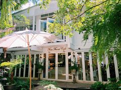 -Fern Forest Cafe
