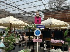 -京北渔家傲