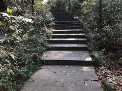 -杭州半山国家森林公园