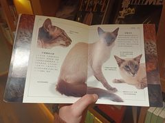 -思南书局(复兴中路店)