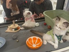 -金茂览秀城