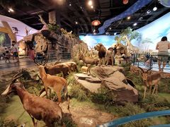 -陕西自然博物馆