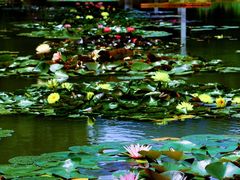 -国家植物园南园