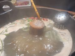 -大龙燚·旷野鲜火锅(广州首店)