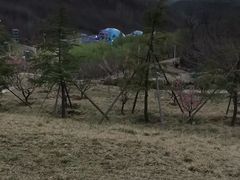 -白鹿原影视城