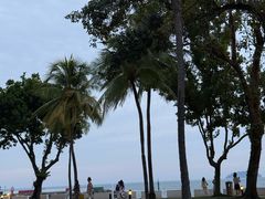 -麦哲伦丝绸度假村