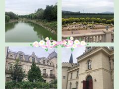 -北京张裕爱斐堡酒庄