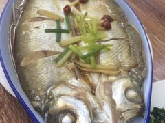 -梦江南