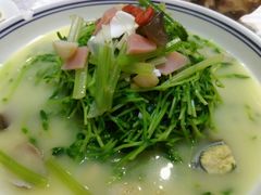 上汤豆苗-京味民福烤鸭店(建设四马路店)