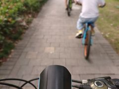 -昆山城市生态森林公园