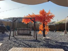 -DGE季风钓虾营地·团建·聚会