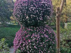 -杭州植物园