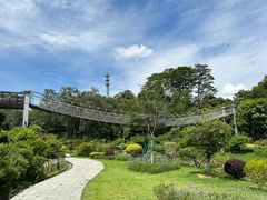 -东莞植物园