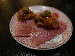 海胆toro-橼舍鮨青木