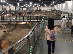 -南越王博物院(王宫展区)