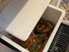 -杨记海鲜楼(三门黑金冠店)