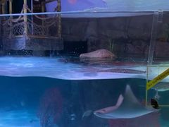 -沈阳海洋探索中心