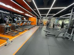 -健身专家Wellness Experts