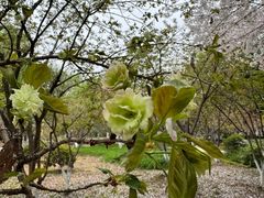 -白塘生态植物园