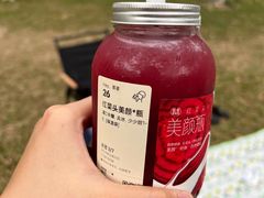 -东莞市大岭山森林公园