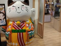 -屋虎猫馆(宝安大仟里店)