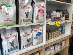 -宠福鑫康馨动物医院·骨科·眼科