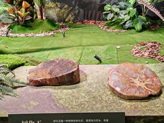 -遇见博物馆(遇见海洋沉浸式奇幻光影展)