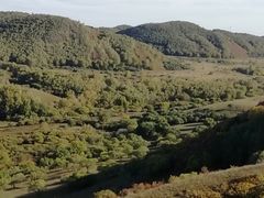 -塞罕坝国家级自然保护区