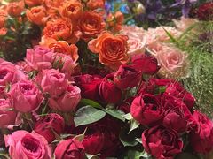 -深圳威尼斯英迪格酒店-邻芙花廊下午茶·NINFA GALLERY·蛋糕·咖啡