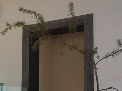 -稍可轩博物馆餐厅