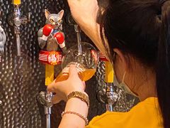 -Boxing Cat Brewery拳击猫精酿啤酒馆(永福店)