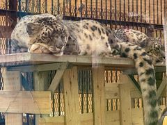 -青藏高原野生动物园