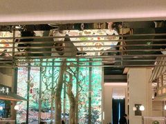 -桂满陇·海市蜃楼·黑金(国金店)