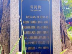 -莲池荟素食馆·12年老字号(光孝寺店)