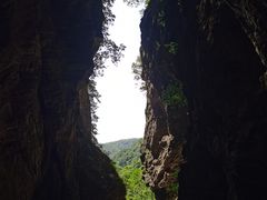 -牛背梁国家森林公园