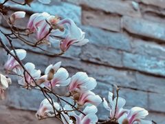 -东华门大街小区