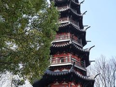 -上海佘山国家森林公园西佘山园