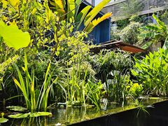 -肴约·花园式餐厅(湖里店)