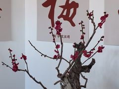 -颐和园