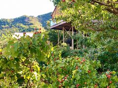 -北京山里寒舍度假酒店