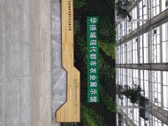 -黄龙溪欢乐田园