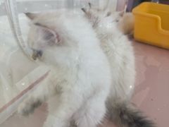 -成都银泰城