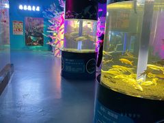 -沙沙哗啦海洋馆(华宇百花谷店)