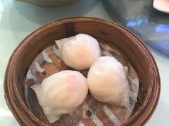 壹号虾饺皇-粤珍轩.创始店.始于2001(含光门店)