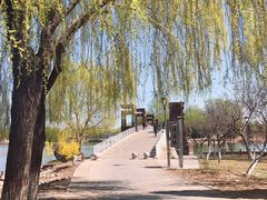 -石家庄市植物园