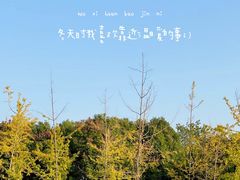 -眉山湿地公园(东坡区)
