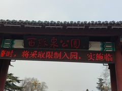 -百脉泉景区