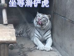 -西安秦岭野生动物园