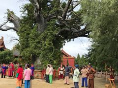-大槐树寻根祭祖园